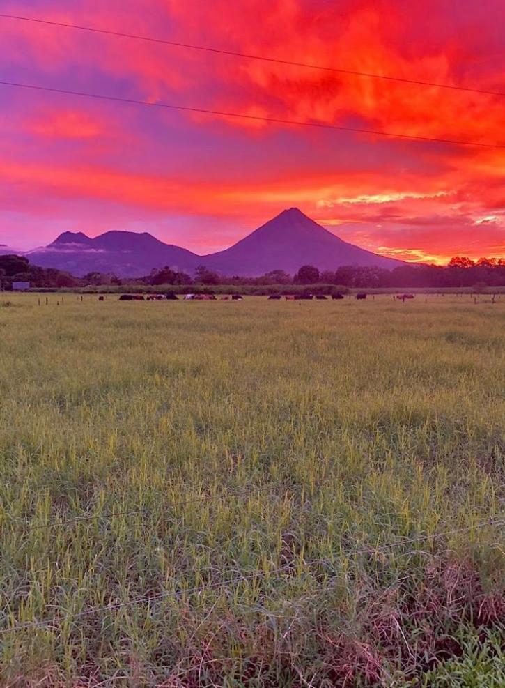 Befox Adventure 호텔 La Fortuna 외부 사진