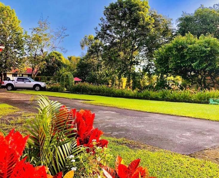 Befox Adventure 호텔 La Fortuna 외부 사진