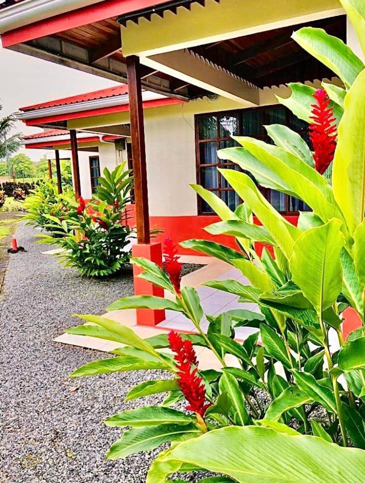 Befox Adventure 호텔 La Fortuna 외부 사진