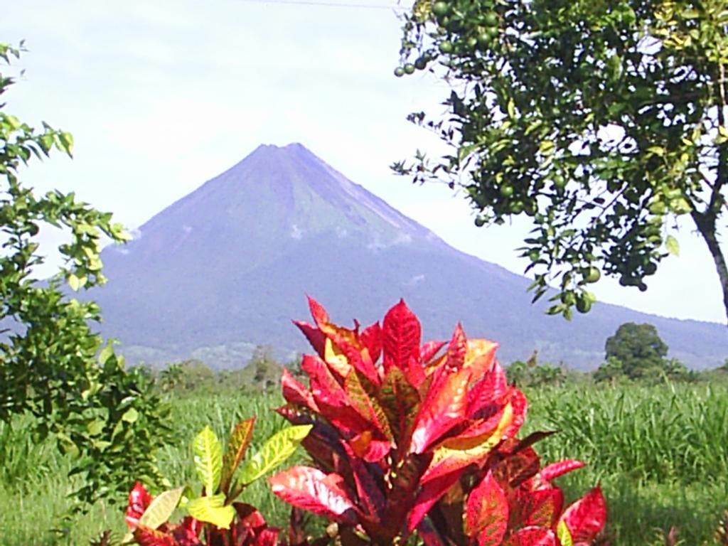 Befox Adventure 호텔 La Fortuna 외부 사진