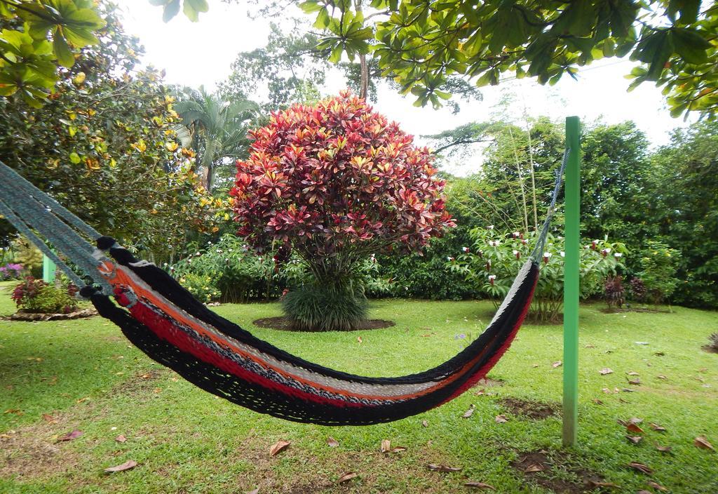 Befox Adventure 호텔 La Fortuna 외부 사진